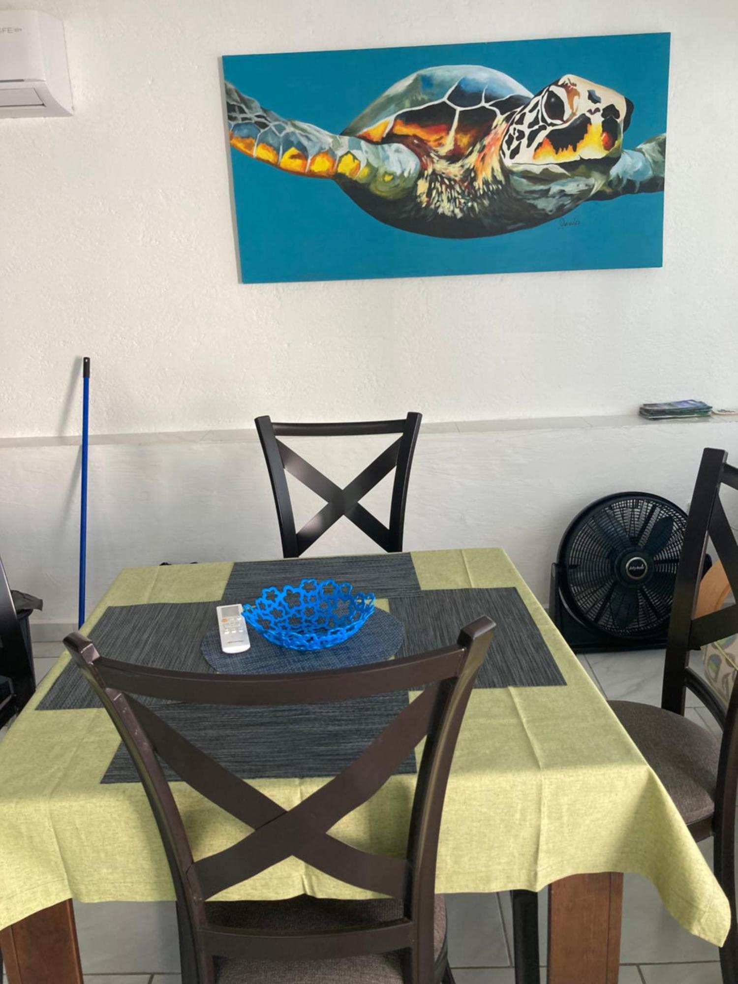 Cancun Oceanfront, Entire Apartment المظهر الخارجي الصورة